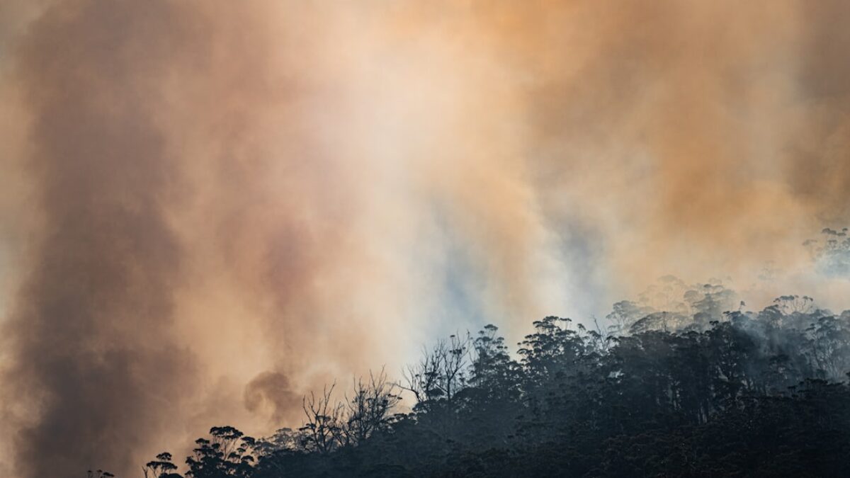 home insurance for wildfire-prone areas in California