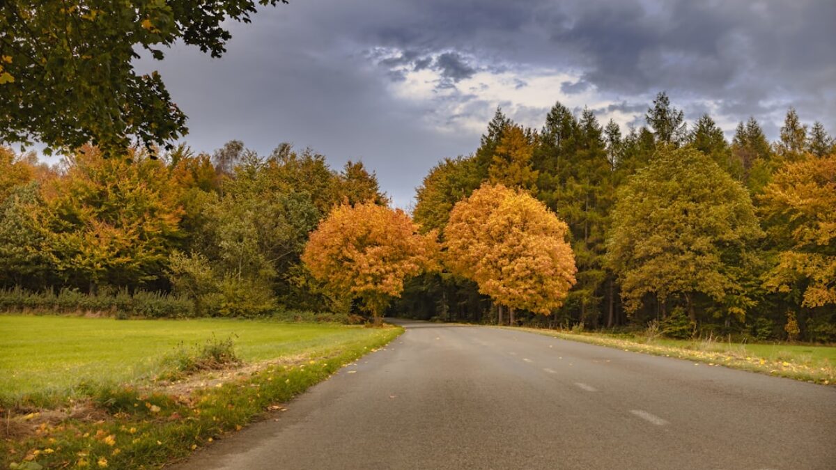 compare term life insurance plans in Ohio