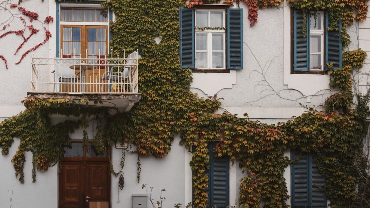 landlord insurance comparison for Airbnb rentals in USA