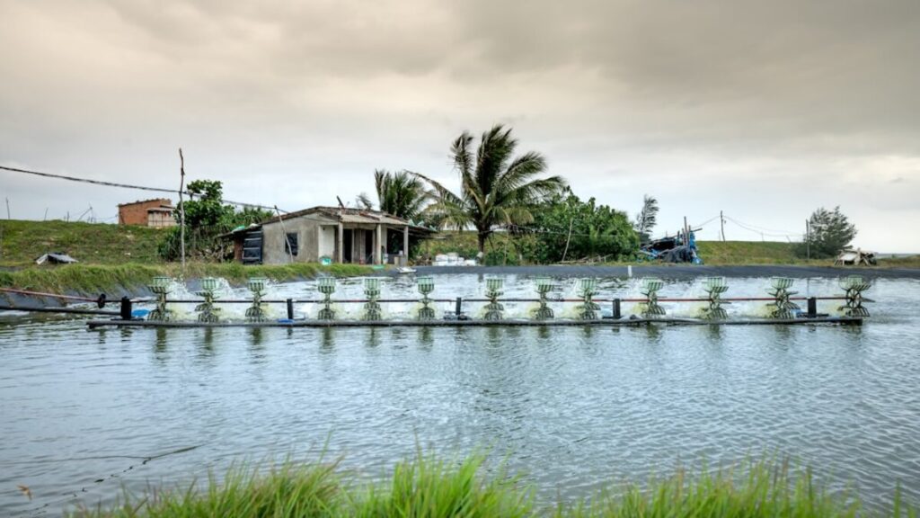flood insurance for rental properties in Florida