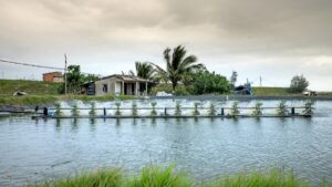 flood insurance for rental properties in Florida