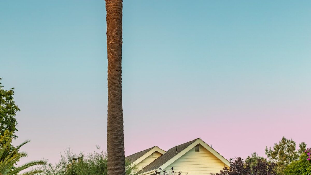 renters insurance comparison for short-term leases in California