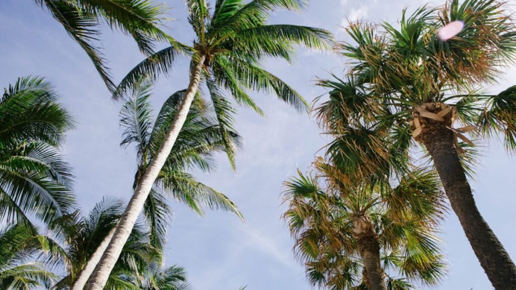 compare home insurance rates in Florida