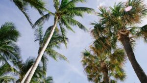 compare home insurance rates in Florida