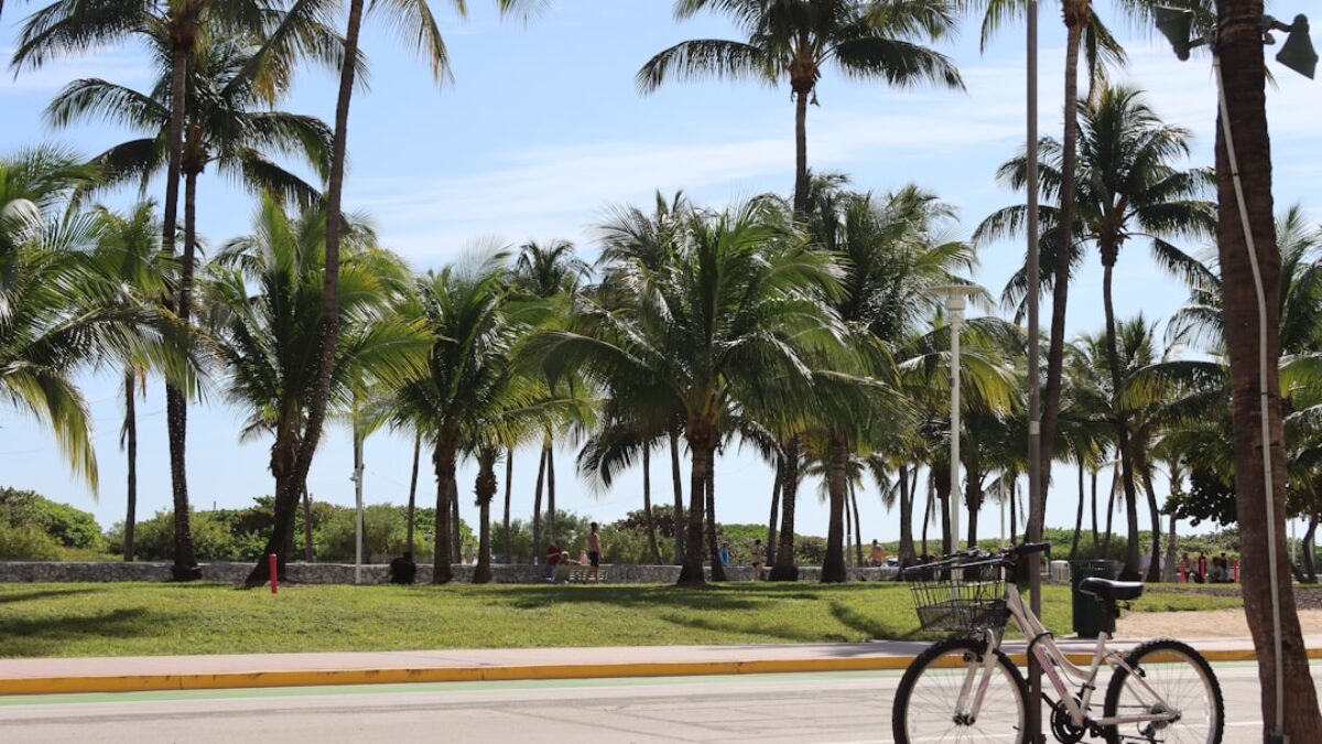 cheap bike insurance for rural riders in Florida