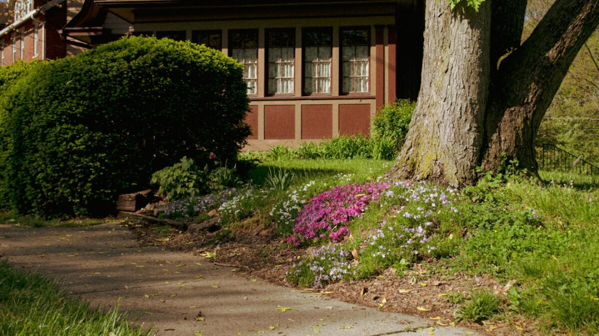 affordable home insurance for multi-family homes in Georgia