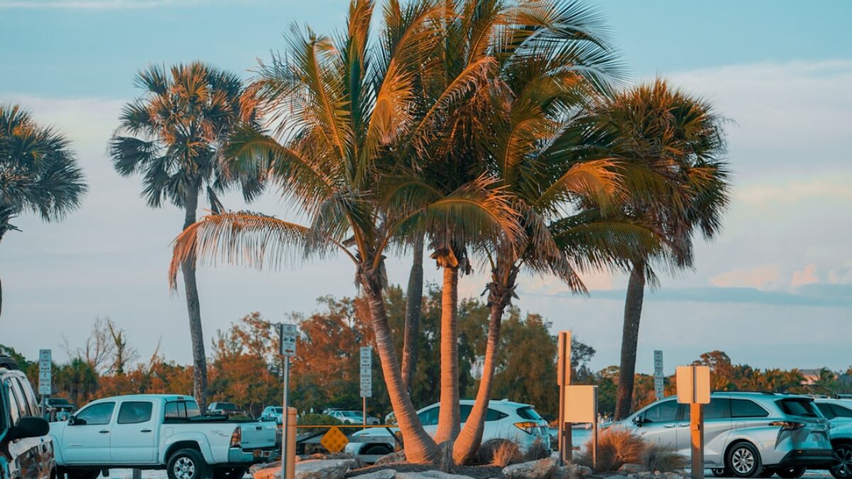 travel insurance comparison for seniors in Florida