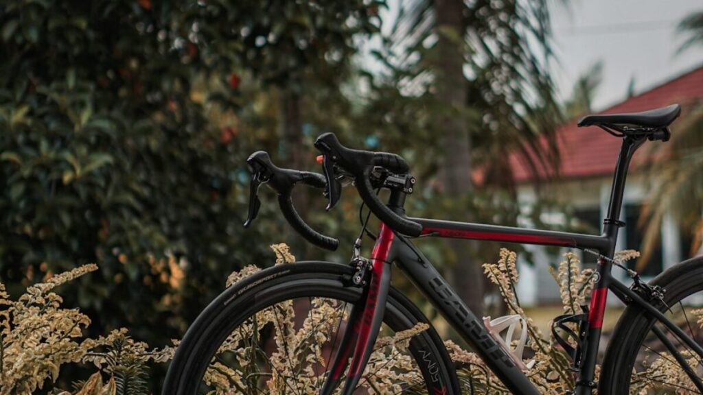 cheap bike insurance for commuters in Florida