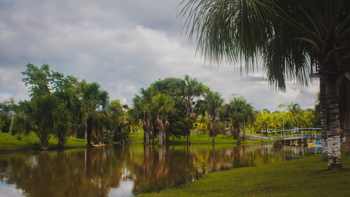 compare home insurance for hurricanes in Louisiana