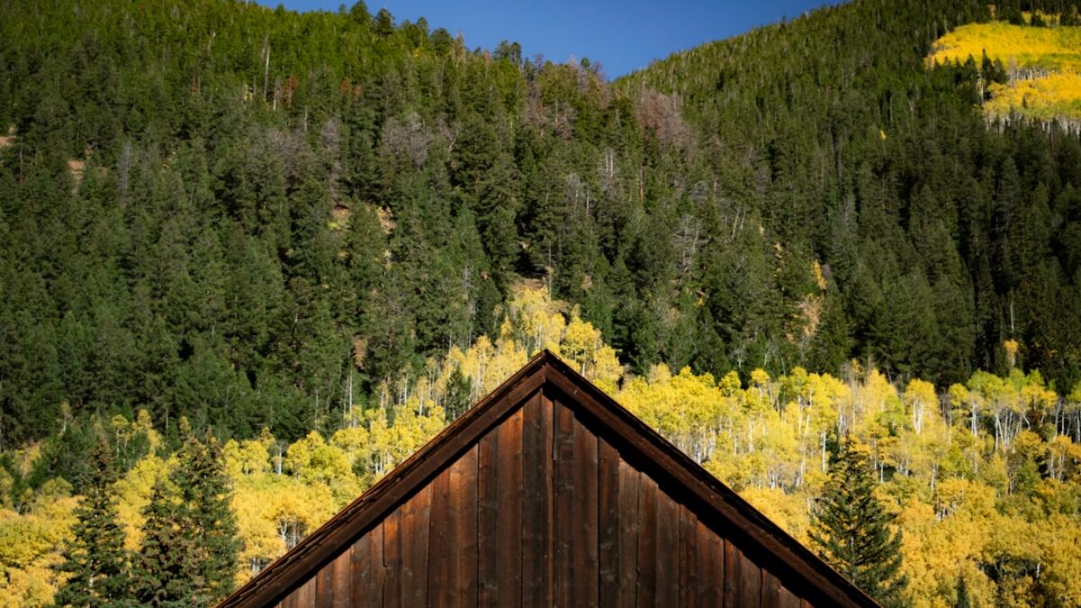 home insurance for cabins in Colorado
